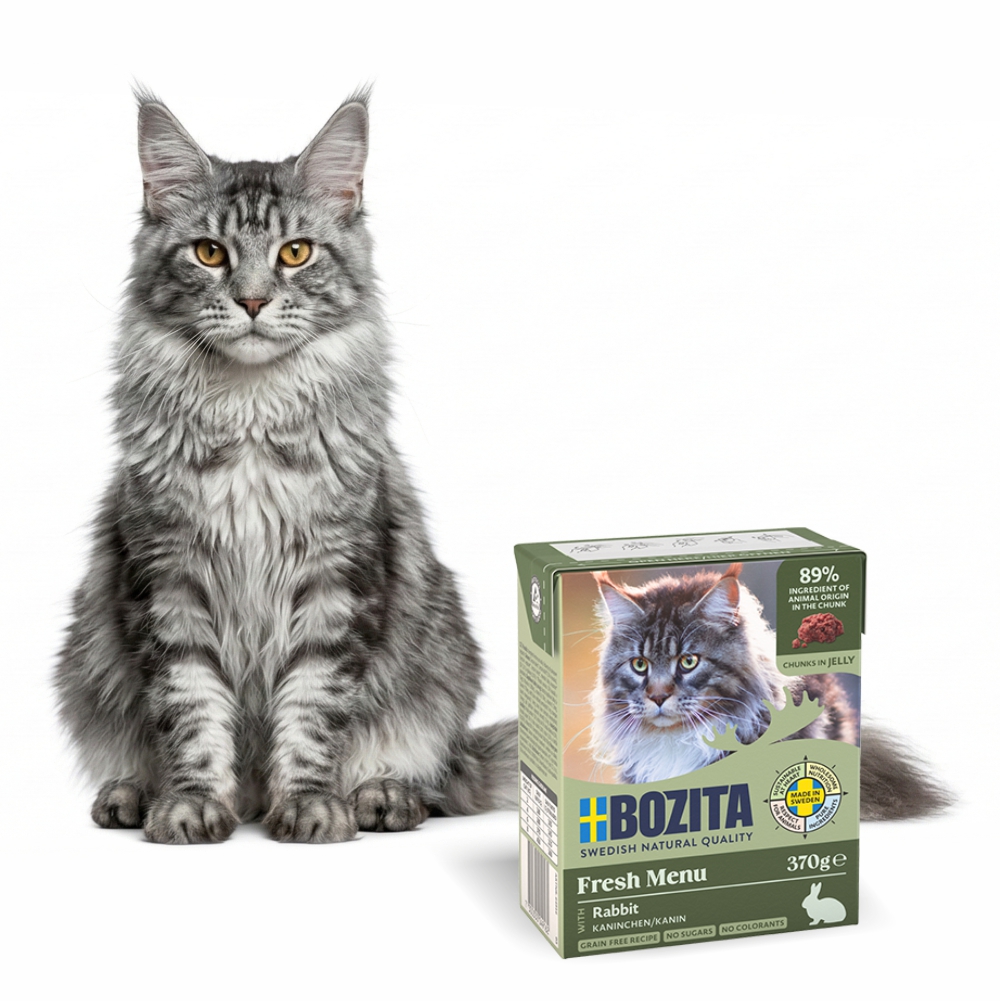 BOZITA Karma Mokra dla Kota Królik w Galarecie ZESTAW 9x370g